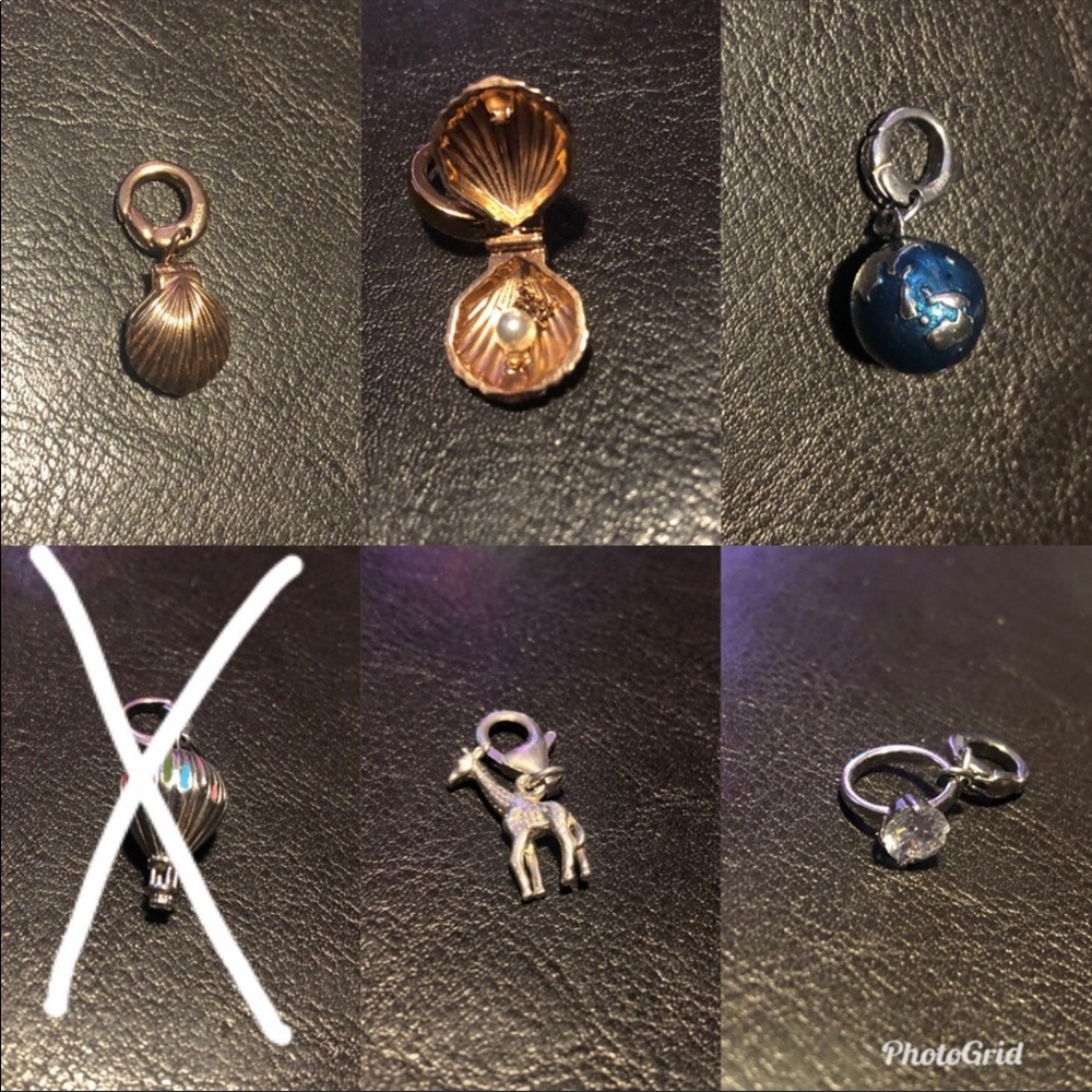 Fossil charms and fossil charm bracelet